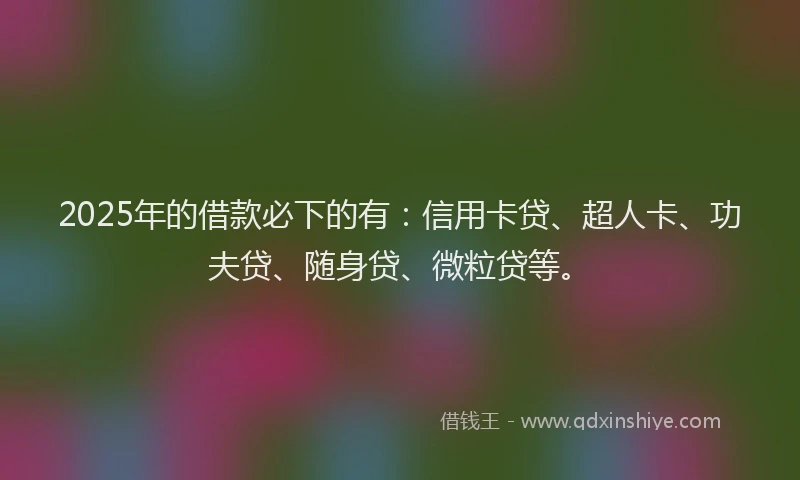 2025年的借款必下的有：信用卡贷、超人卡、功夫贷、随身贷、微粒贷等。
