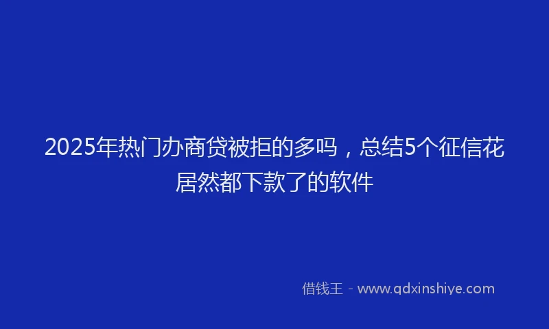 2025年热门办商贷被拒的多吗，总结5个征信花居然都下款了的软件
