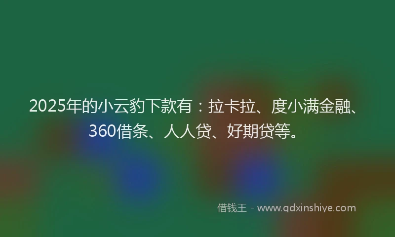 2025年的小云豹下款有：拉卡拉、度小满金融、360借条、人人贷、好期贷等。