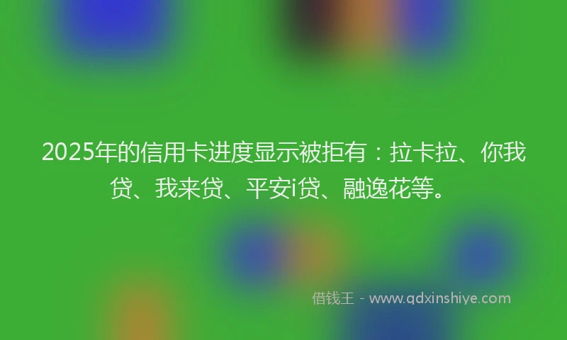 2025年的信用卡进度显示被拒有：拉卡拉、你我贷、我来贷、平安i贷、融逸花等。