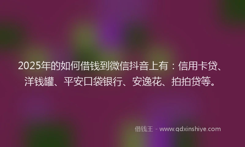 2025年的如何借钱到微信抖音上有：信用卡贷、洋钱罐、平安口袋银行、安逸花、拍拍贷等。