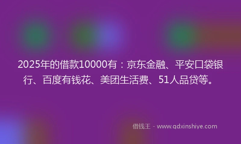 2025年的借款10000有：京东金融、平安口袋银行、百度有钱花、美团生活费、51人品贷等。