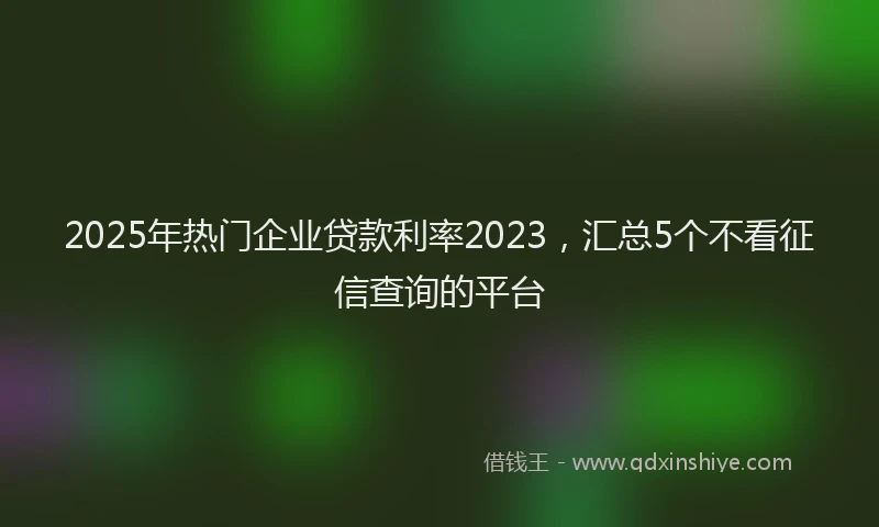 2025年热门企业贷款利率2023，汇总5个不看征信查询的平台