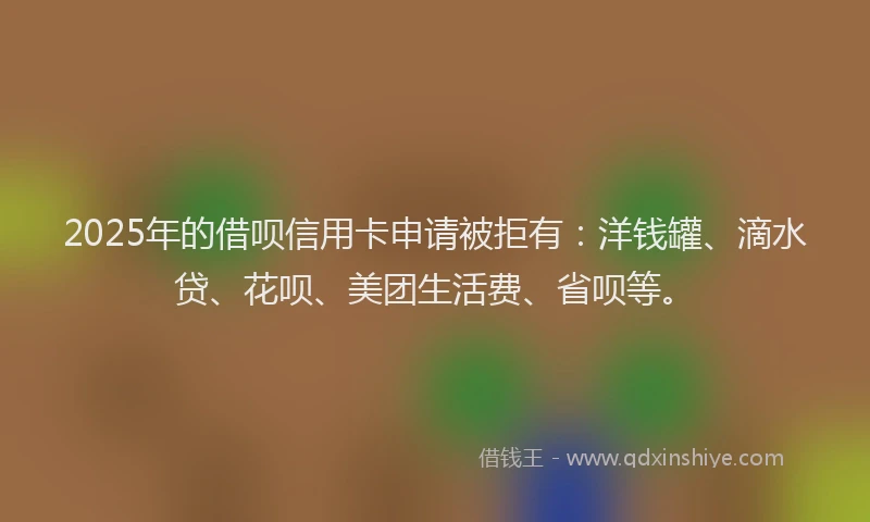 2025年的借呗信用卡申请被拒有：洋钱罐、滴水贷、花呗、美团生活费、省呗等。