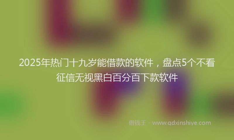 2025年热门十九岁能借款的软件，盘点5个不看征信无视黑白百分百下款软件