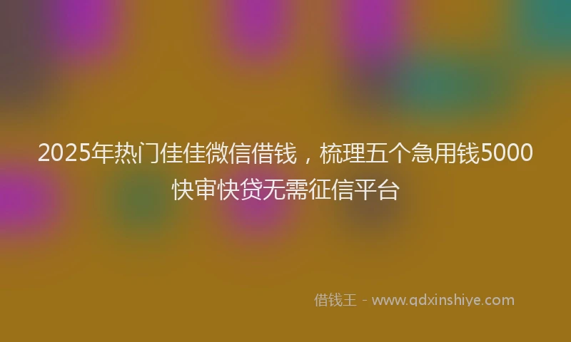 2025年热门佳佳微信借钱，梳理五个急用钱5000快审快贷无需征信平台