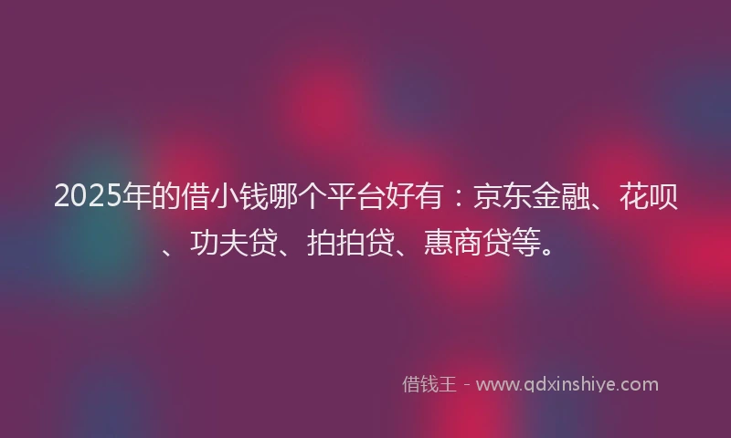 2025年的借小钱哪个平台好有：京东金融、花呗、功夫贷、拍拍贷、惠商贷等。