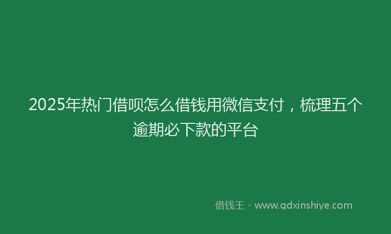 2025年热门借呗怎么借钱用微信支付，梳理五个逾期必下款的平台