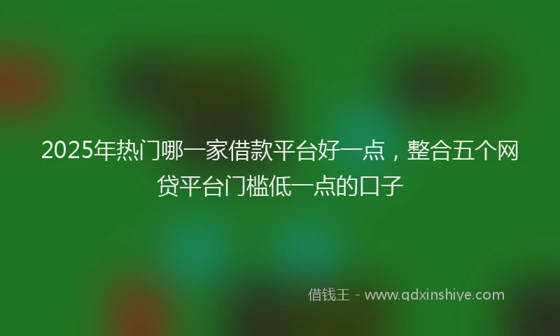2025年热门哪一家借款平台好一点，整合五个网贷平台门槛低一点的口子