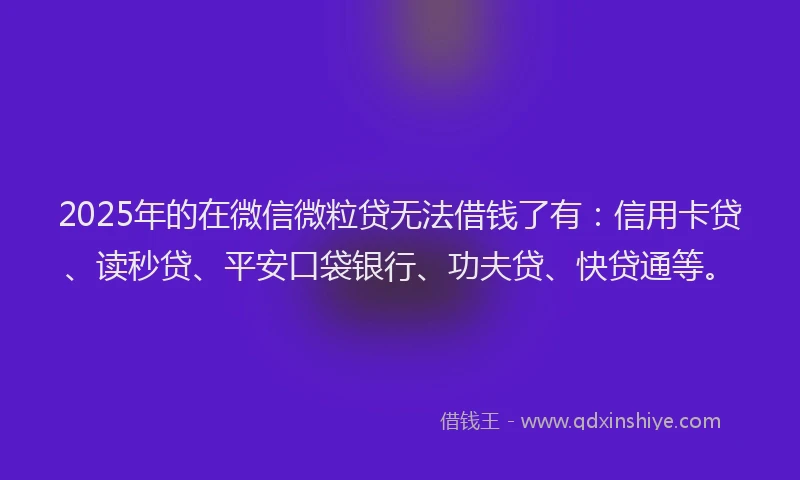 2025年的在微信微粒贷无法借钱了有：信用卡贷、读秒贷、平安口袋银行、功夫贷、快贷通等。