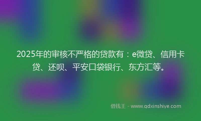 2025年的审核不严格的贷款有：e微贷、信用卡贷、还呗、平安口袋银行、东方汇等。