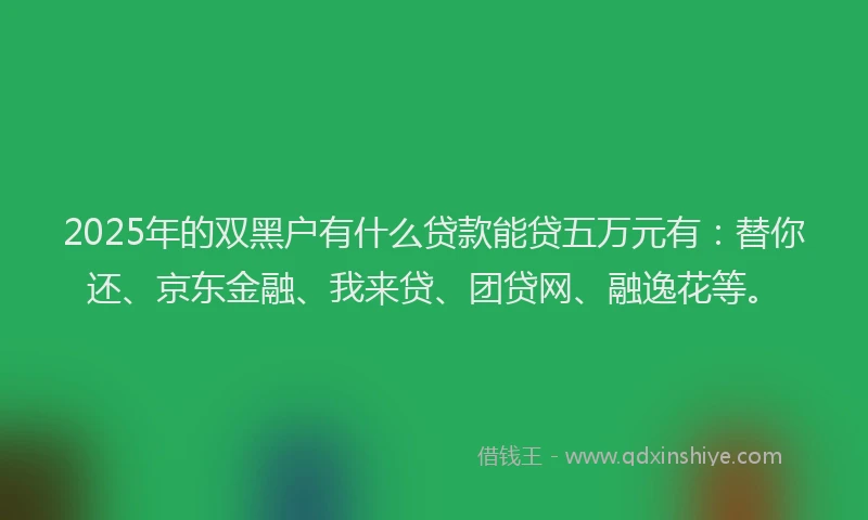 2025年的双黑户有什么贷款能贷五万元有：替你还、京东金融、我来贷、团贷网、融逸花等。