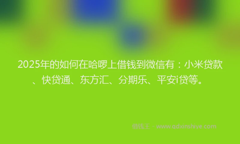 2025年的如何在哈啰上借钱到微信有：小米贷款、快贷通、东方汇、分期乐、平安i贷等。