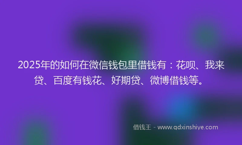 2025年的如何在微信钱包里借钱有：花呗、我来贷、百度有钱花、好期贷、微博借钱等。