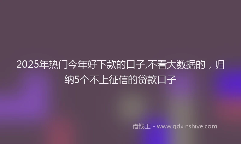 2025年热门今年好下款的口子,不看大数据的，归纳5个不上征信的贷款口子