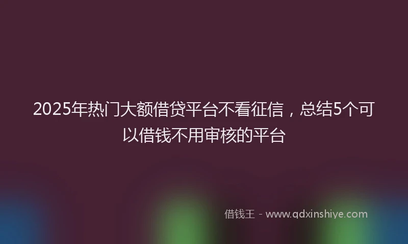 2025年热门大额借贷平台不看征信，总结5个可以借钱不用审核的平台