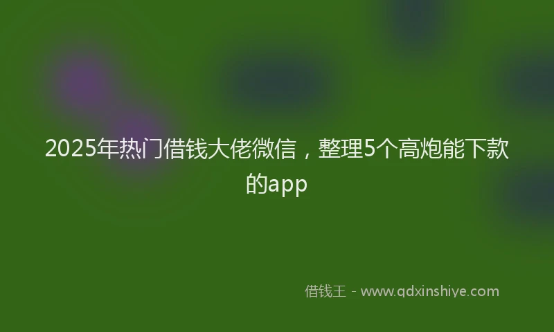 2025年热门借钱大佬微信，整理5个高炮能下款的app