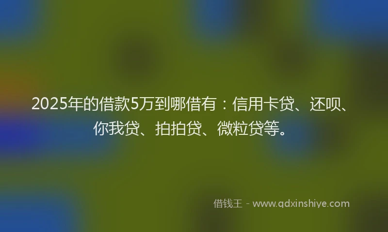 2025年的借款5万到哪借有：信用卡贷、还呗、你我贷、拍拍贷、微粒贷等。