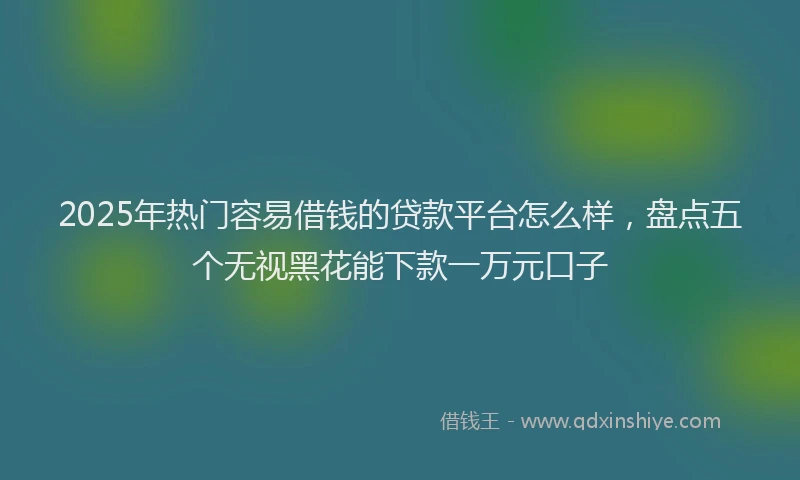2025年热门容易借钱的贷款平台怎么样，盘点五个无视黑花能下款一万元口子
