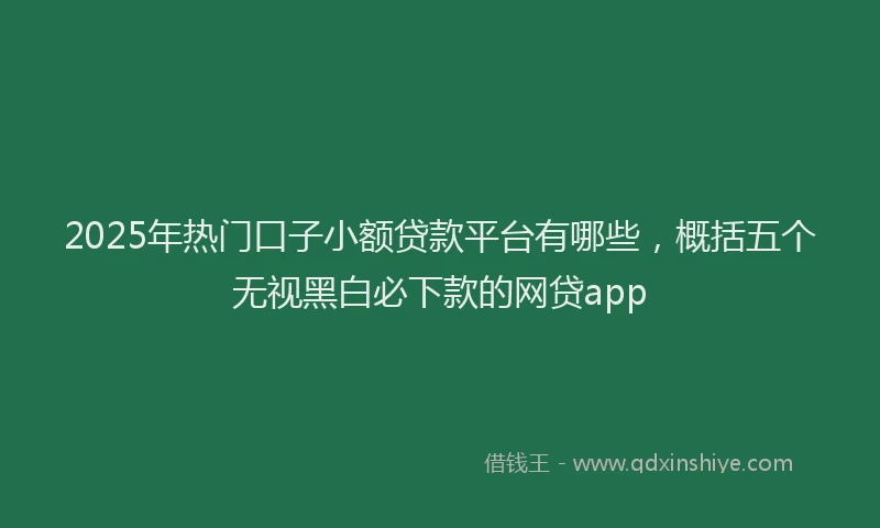 2025年热门口子小额贷款平台有哪些，概括五个无视黑白必下款的网贷app