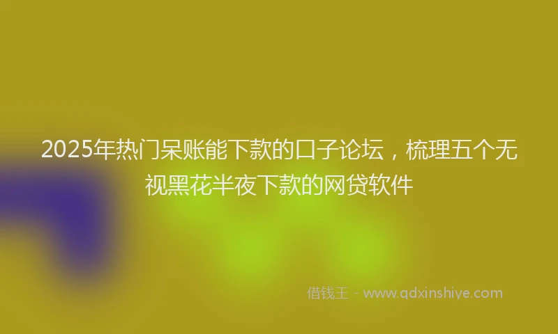 2025年热门呆账能下款的口子论坛，梳理五个无视黑花半夜下款的网贷软件