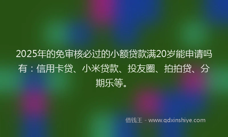 2025年的免审核必过的小额贷款满20岁能申请吗有：信用卡贷、小米贷款、投友圈、拍拍贷、分期乐等。