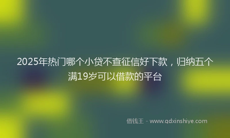 2025年热门哪个小贷不查征信好下款，归纳五个满19岁可以借款的平台