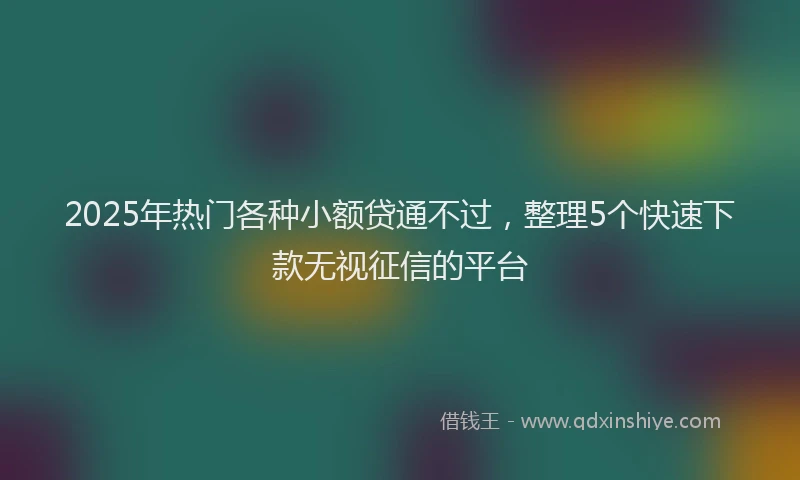 2025年热门各种小额贷通不过，整理5个快速下款无视征信的平台