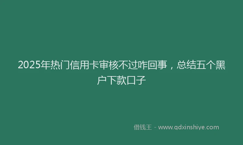 2025年热门信用卡审核不过咋回事，总结五个黑户下款口子