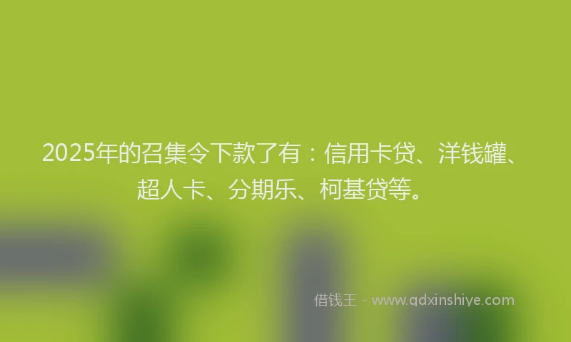 2025年的召集令下款了有：信用卡贷、洋钱罐、超人卡、分期乐、柯基贷等。