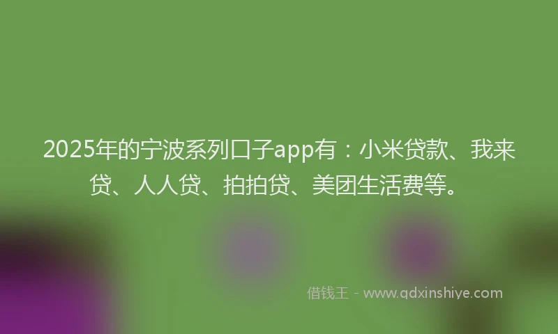 2025年的宁波系列口子app有：小米贷款、我来贷、人人贷、拍拍贷、美团生活费等。