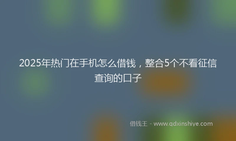 2025年热门在手机怎么借钱，整合5个不看征信查询的口子