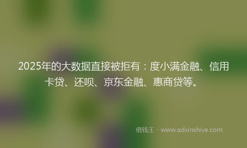 2025年的大数据直接被拒有：度小满金融、信用卡贷、还呗、京东金融、惠商贷等。