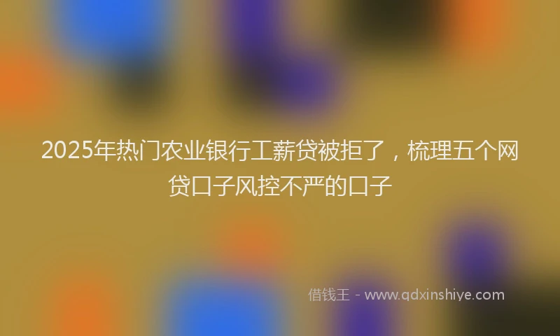 2025年热门农业银行工薪贷被拒了，梳理五个网贷口子风控不严的口子