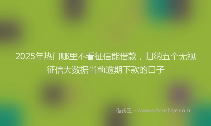 2025年热门哪里不看征信能借款，归纳五个无视征信大数据当前逾期下款的口子