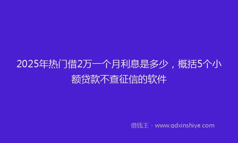 2025年热门借2万一个月利息是多少，概括5个小额贷款不查征信的软件