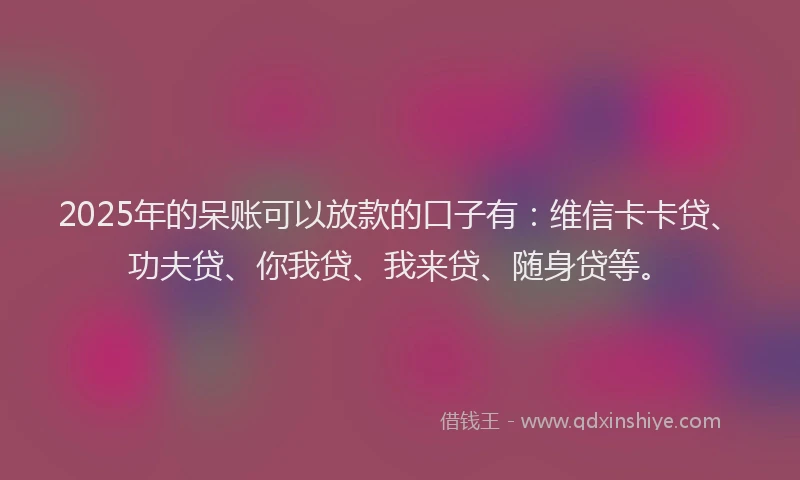 2025年的呆账可以放款的口子有：维信卡卡贷、功夫贷、你我贷、我来贷、随身贷等。