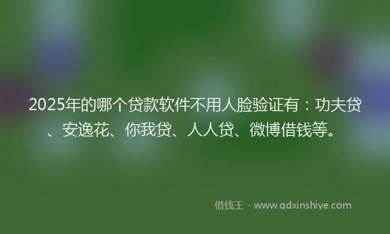 2025年的哪个贷款软件不用人脸验证有：功夫贷、安逸花、你我贷、人人贷、微博借钱等。
