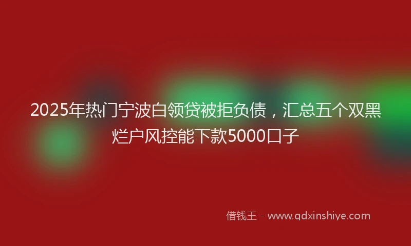 2025年热门宁波白领贷被拒负债，汇总五个双黑烂户风控能下款5000口子