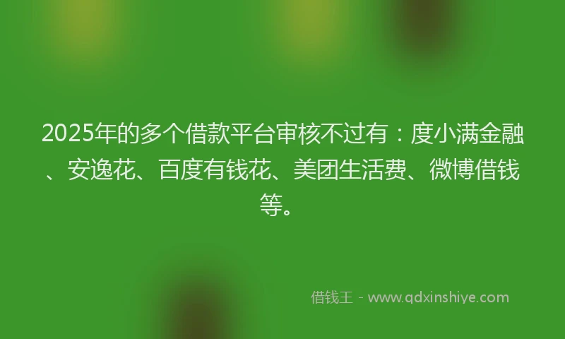 2025年的多个借款平台审核不过有：度小满金融、安逸花、百度有钱花、美团生活费、微博借钱等。