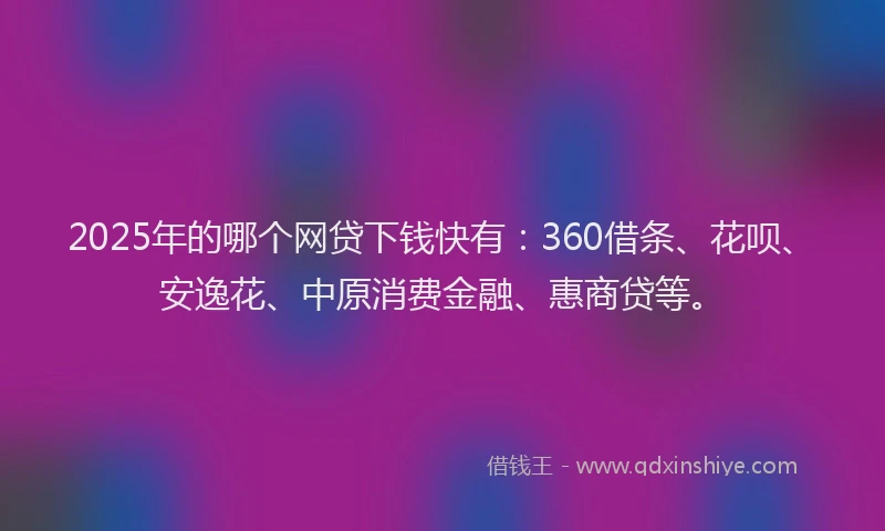 2025年的哪个网贷下钱快有：360借条、花呗、安逸花、中原消费金融、惠商贷等。