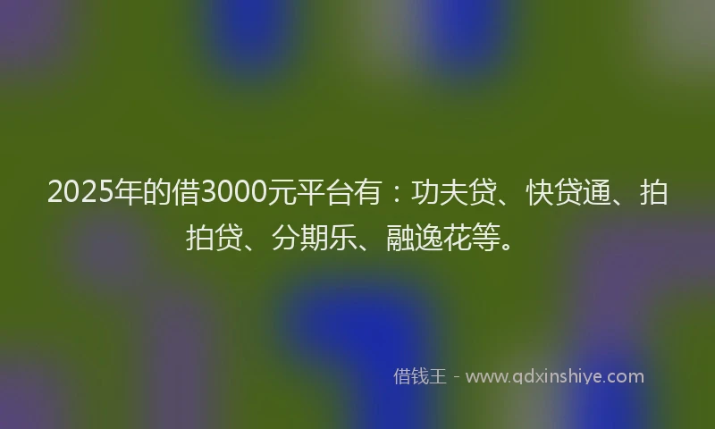 2025年的借3000元平台有：功夫贷、快贷通、拍拍贷、分期乐、融逸花等。
