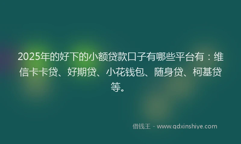 2025年的好下的小额贷款口子有哪些平台有：维信卡卡贷、好期贷、小花钱包、随身贷、柯基贷等。