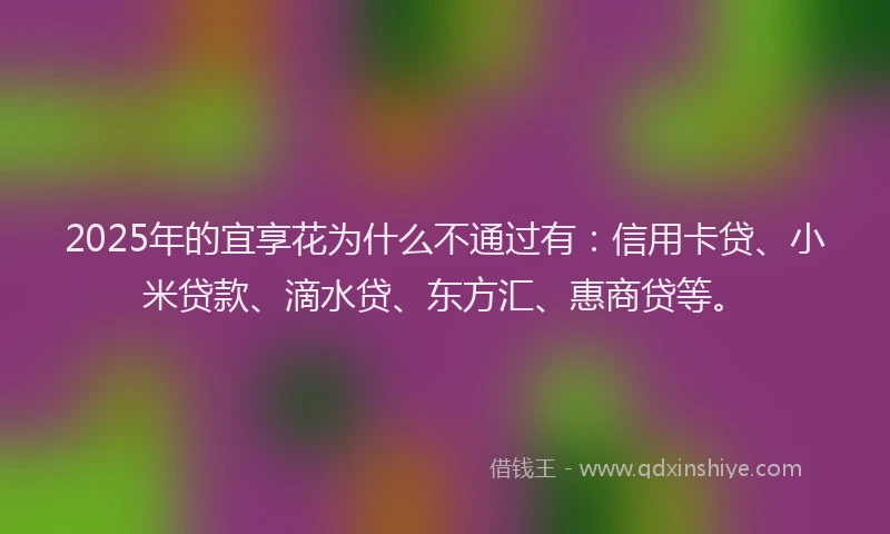 2025年的宜享花为什么不通过有：信用卡贷、小米贷款、滴水贷、东方汇、惠商贷等。