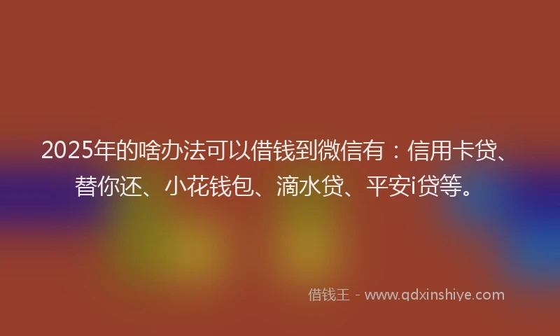 2025年的啥办法可以借钱到微信有：信用卡贷、替你还、小花钱包、滴水贷、平安i贷等。