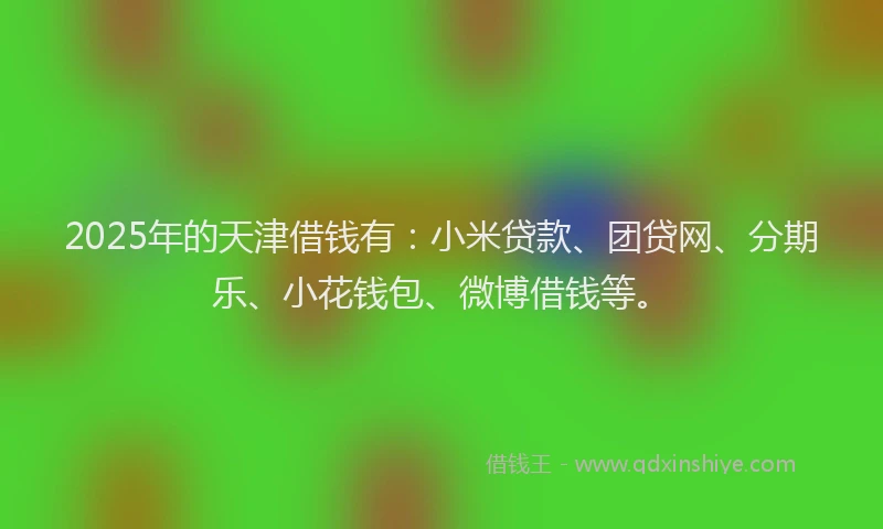 2025年的天津借钱有：小米贷款、团贷网、分期乐、小花钱包、微博借钱等。