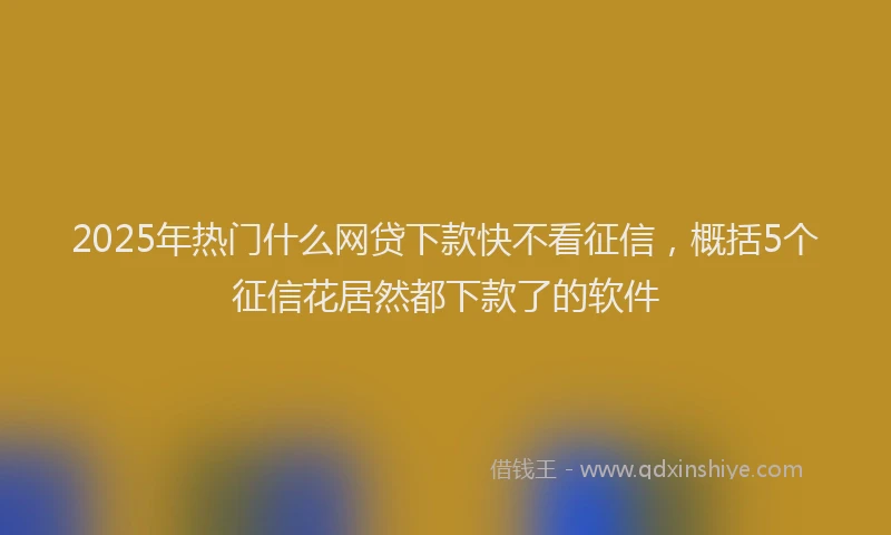 2025年热门什么网贷下款快不看征信，概括5个征信花居然都下款了的软件