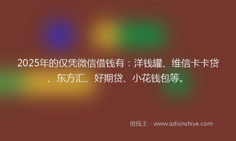 2025年的仅凭微信借钱有：洋钱罐、维信卡卡贷、东方汇、好期贷、小花钱包等。