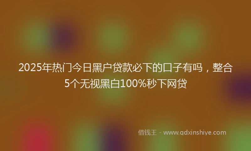 2025年热门今日黑户贷款必下的口子有吗，整合5个无视黑白100%秒下网贷