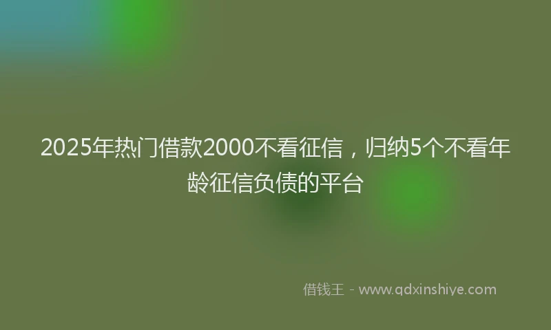 2025年热门借款2000不看征信，归纳5个不看年龄征信负债的平台